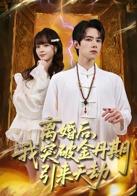 离婚后,我突破金丹期,引来天劫