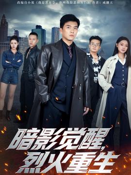 暗影觉醒,烈火重生