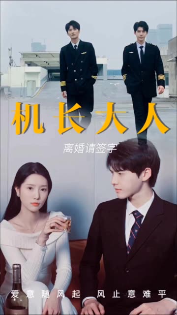 机长大人,离婚请签字