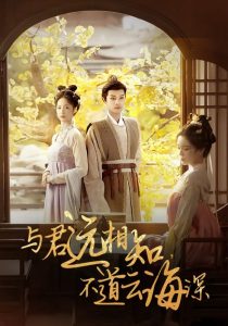 与君远相知,不道云海深