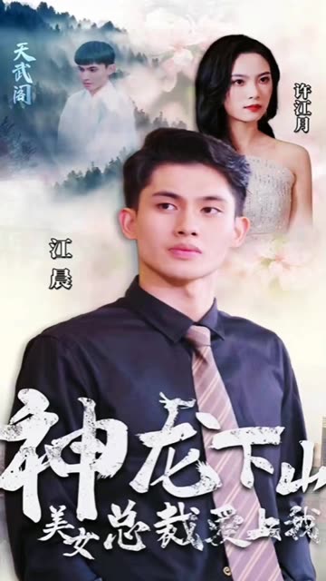 神龙下山,美女总裁爱上我