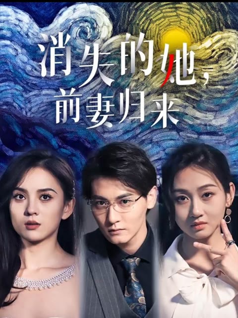 消失的她,前妻归来