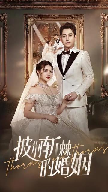 新版:披荆斩棘的婚姻