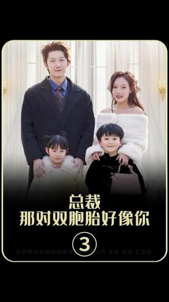 总裁,那对双胞胎好像你