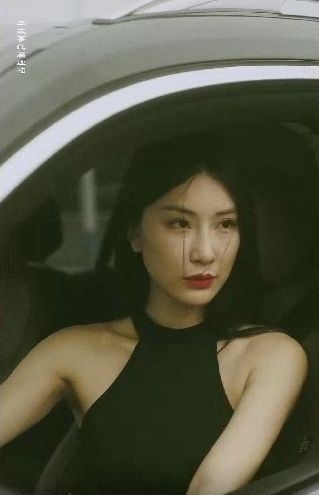 特工凤凰(绝色特工