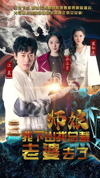 师娘,我下山找总裁老婆了