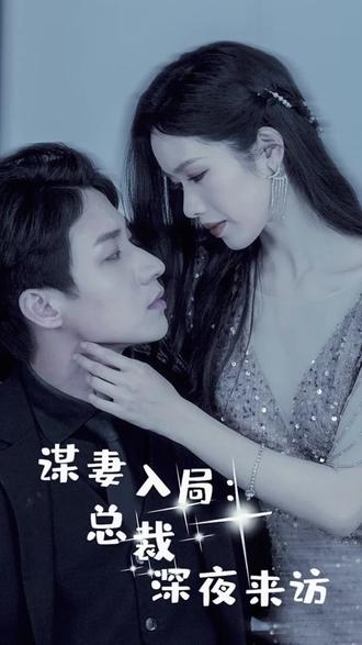 谋妻入局:总裁深夜来访