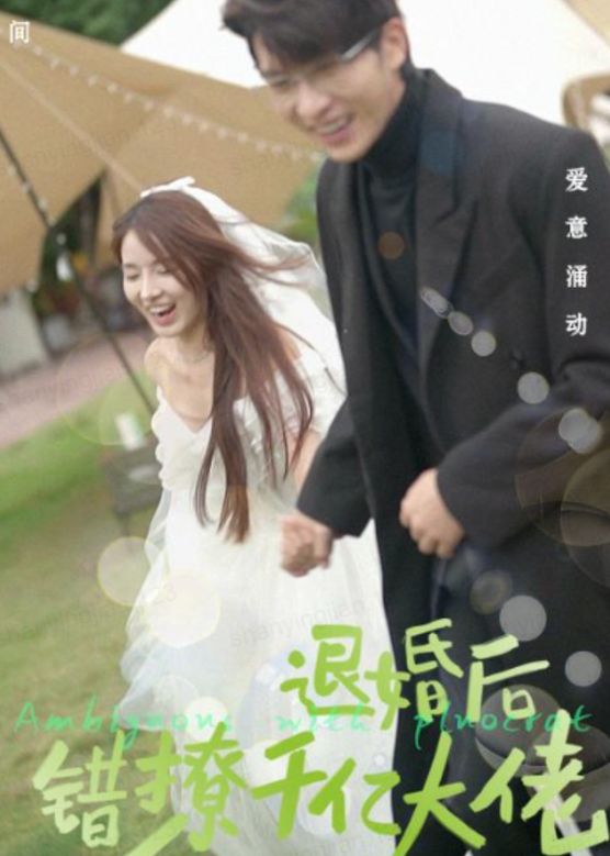 退婚后,错撩千亿大佬