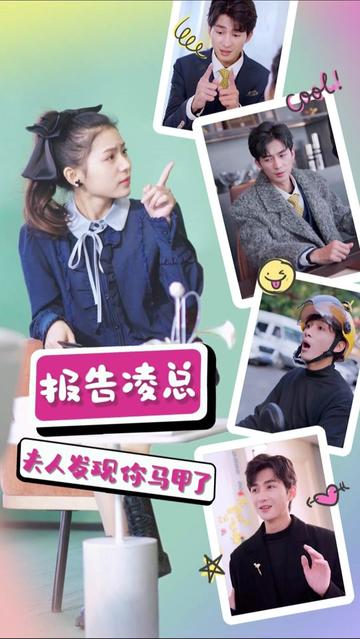 报告凌总,夫人发现你马甲了