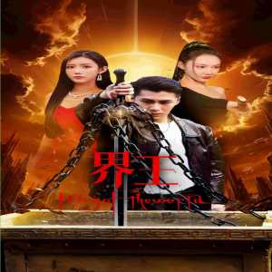 界王(离婚后我给老婆送飞机