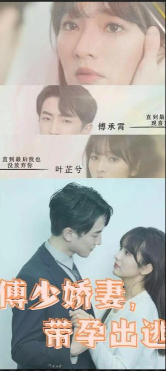 傅少娇妻,带孕出逃