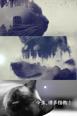 今生,请多指教第二季