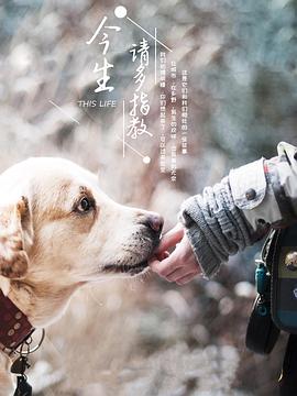 今生,请多指教第三季