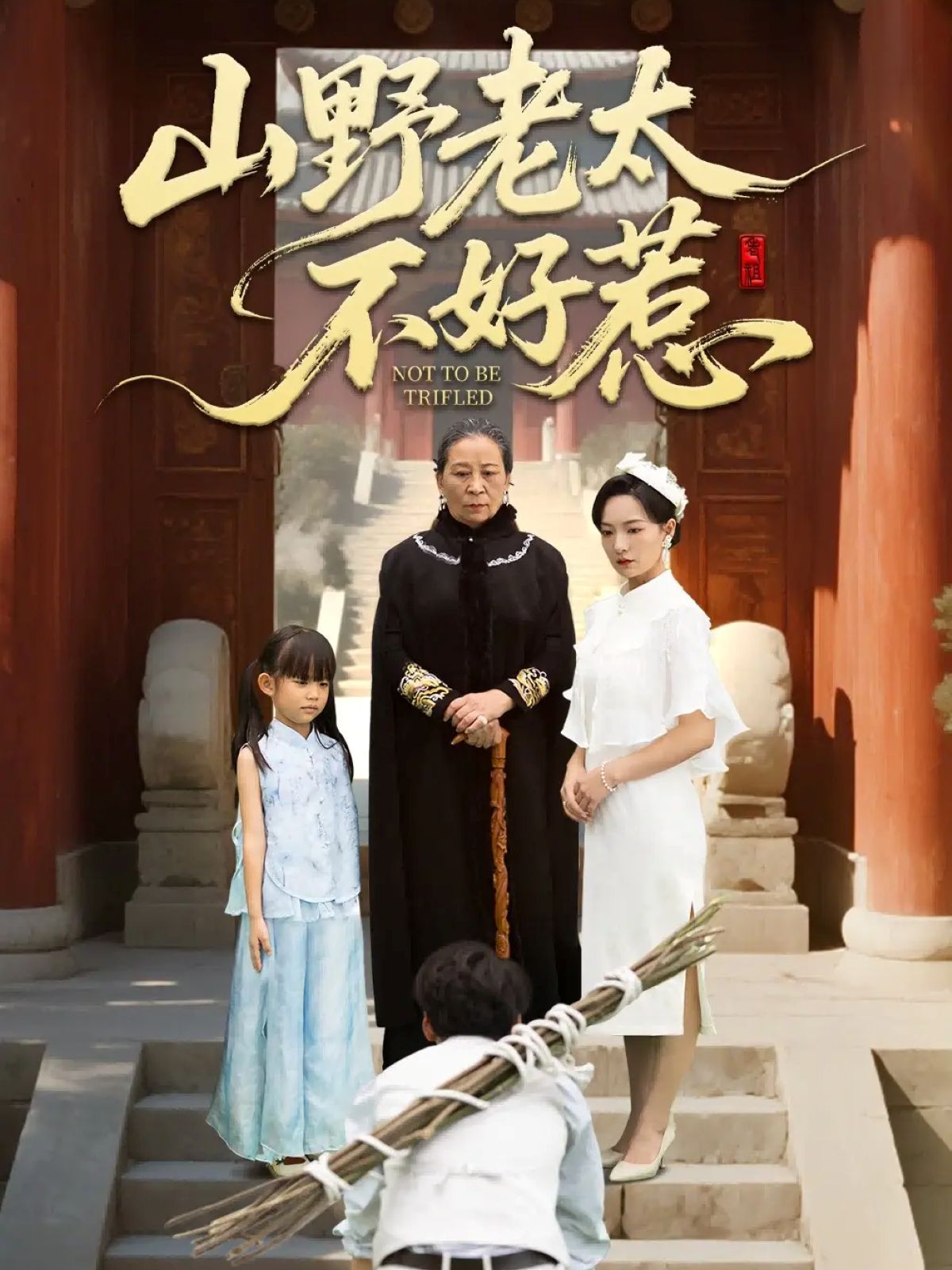 山野老太不好惹(奶奶一脚震全城