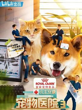 小主安康:宠物医院3