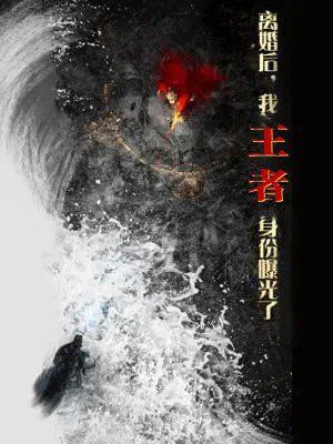 离婚后,我王者身份曝光了(离婚后我王者身份曝光了