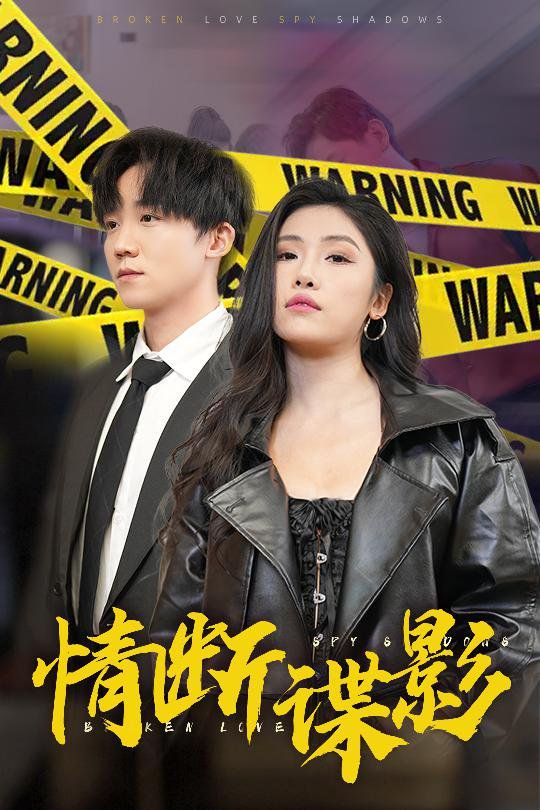 情断谍影(我的特工老婆