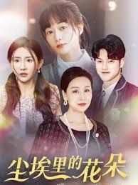 港圈大佬把我宠上天(尘埃里的花朵