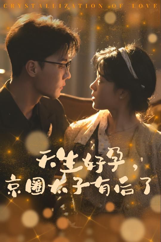 天生好孕京圈太子有后了(你与光共落人间