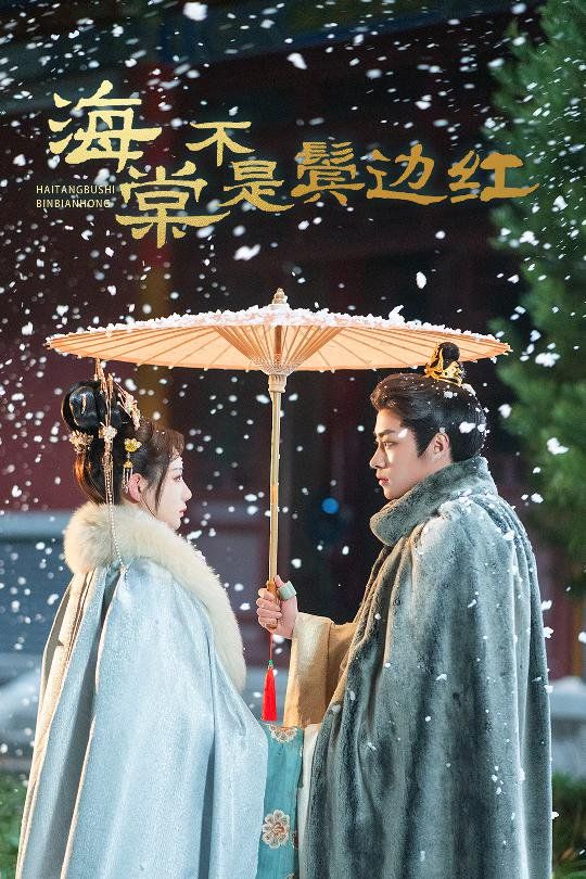 海棠不是鬓边红(人生若只如初见