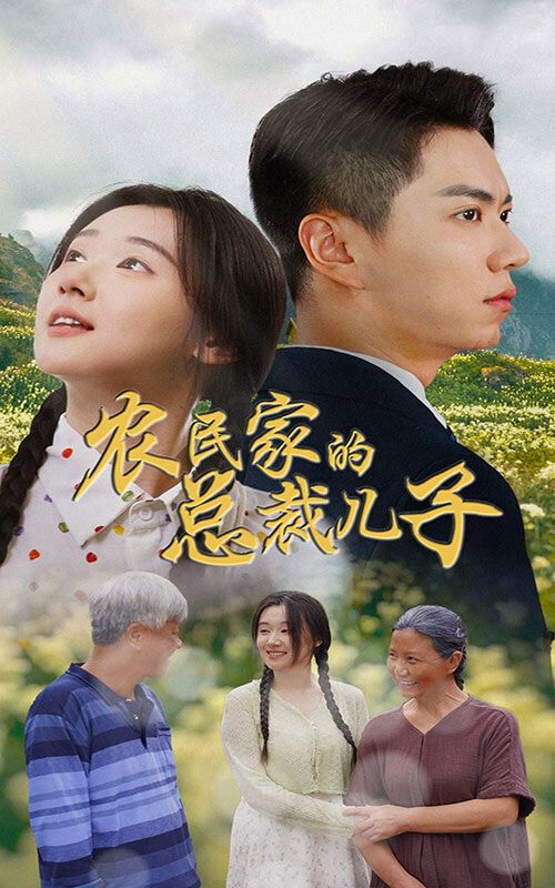 农民家的总裁儿子(富锦还乡