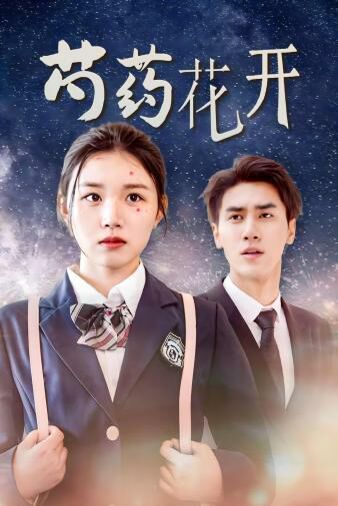 芍药花开(火光中的芍药花