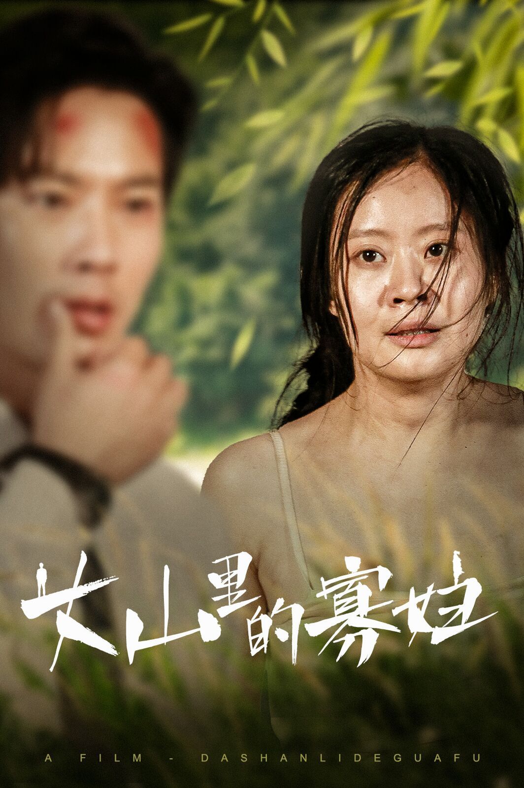 大山里的寡妇(大山里的她