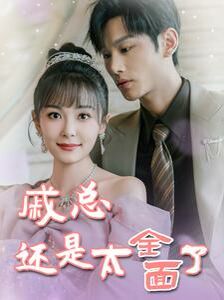 戚总还是太全面了(戚总今天追到夫人了么