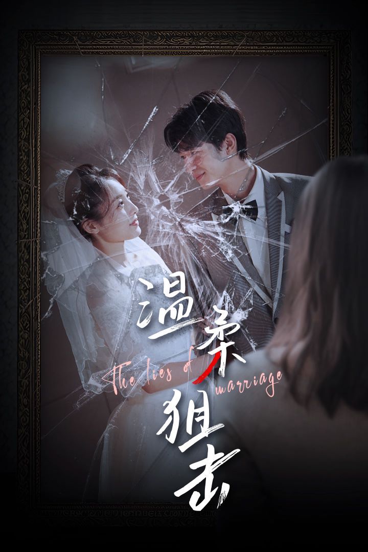 温柔狙击(婚姻迷雾)(婚姻的谎言