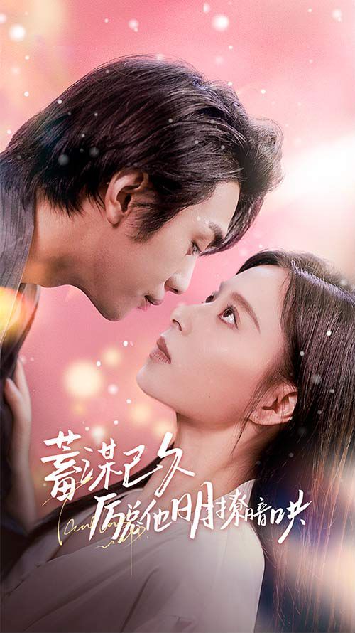 蓄谋已久历总他明撩暗哄(历总夫人她又跑了