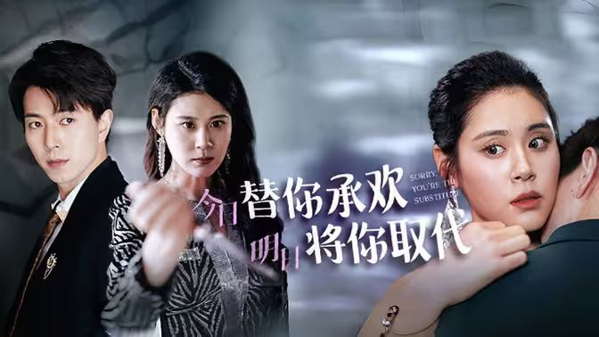 不好意思,你才是替身(今日替你承欢,明日将你取代