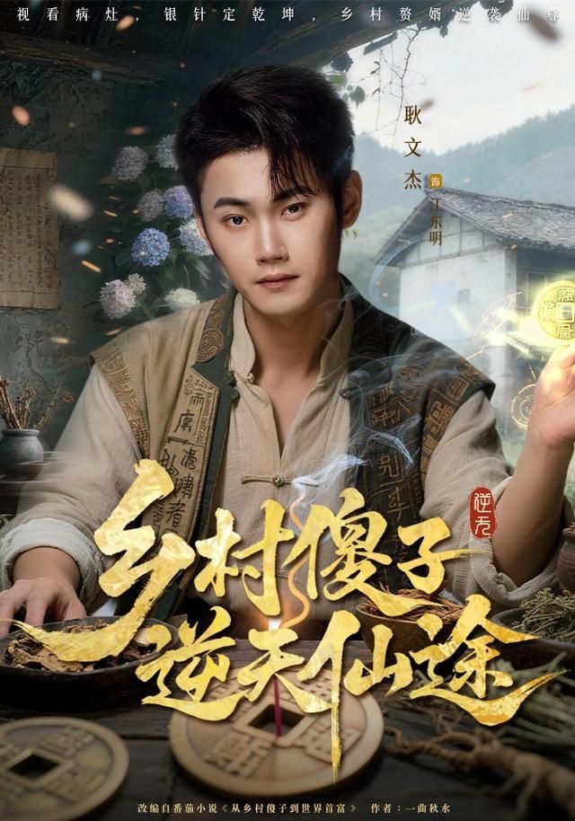 乡村傻子逆天仙途