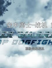 战机:空中勇士第七季