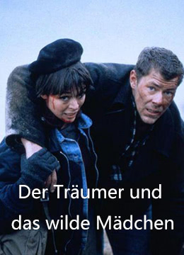 神秘的芯片(国语版