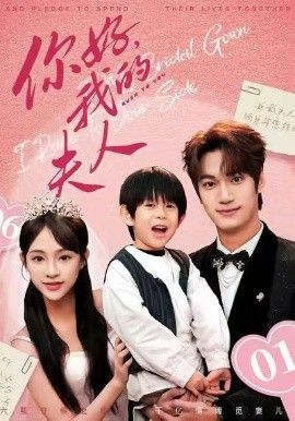顾总,我才是你的夫人(你好,我的夫人