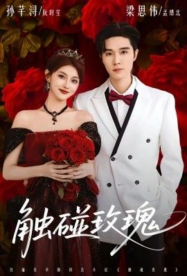 触碰玫瑰(凌晨四点半,玫瑰花未眠