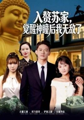 赘苏家,觉醒神瞳后我无敌了