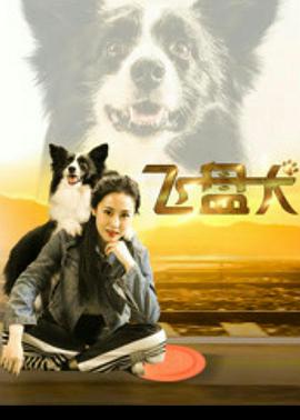 飞盘犬 (2020