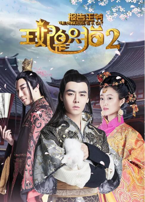 报告王爷,王妃是只猫2