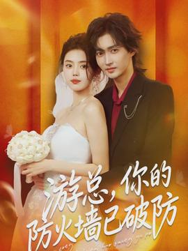 游总,你的防火墙已破防