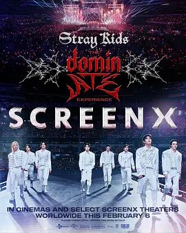 Stray Kids:主宰一切的体验